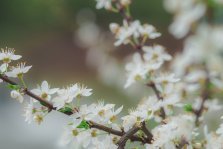 выкса.рф, Весна приближается